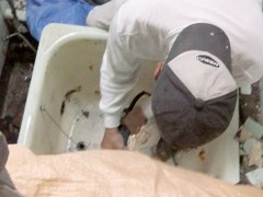 浴室リフォーム 浴槽とバランス釜の交換工事