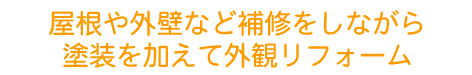 キャッチ