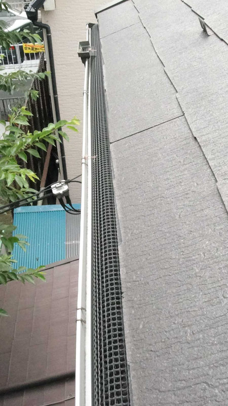 母屋 枯れ葉どめ設置