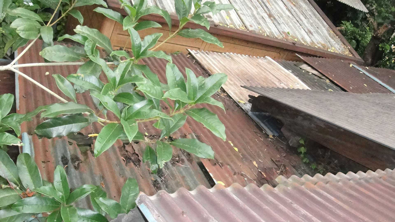 既存キッチンの 屋根