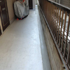 外装リフォーム モルタル打ち:大田区
