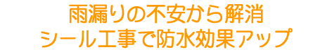 屋根リフォーム 屋根の雨漏り修理:大田区