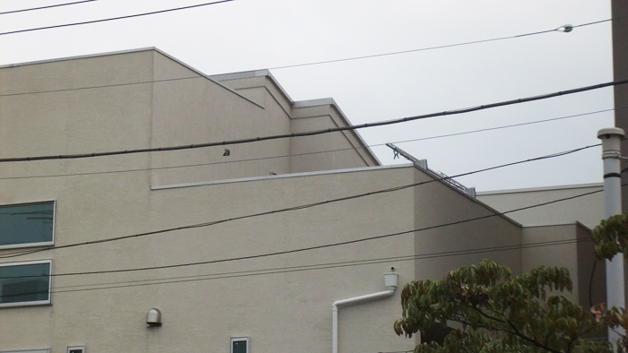 大田区 外構工事 屋上部分 施工前