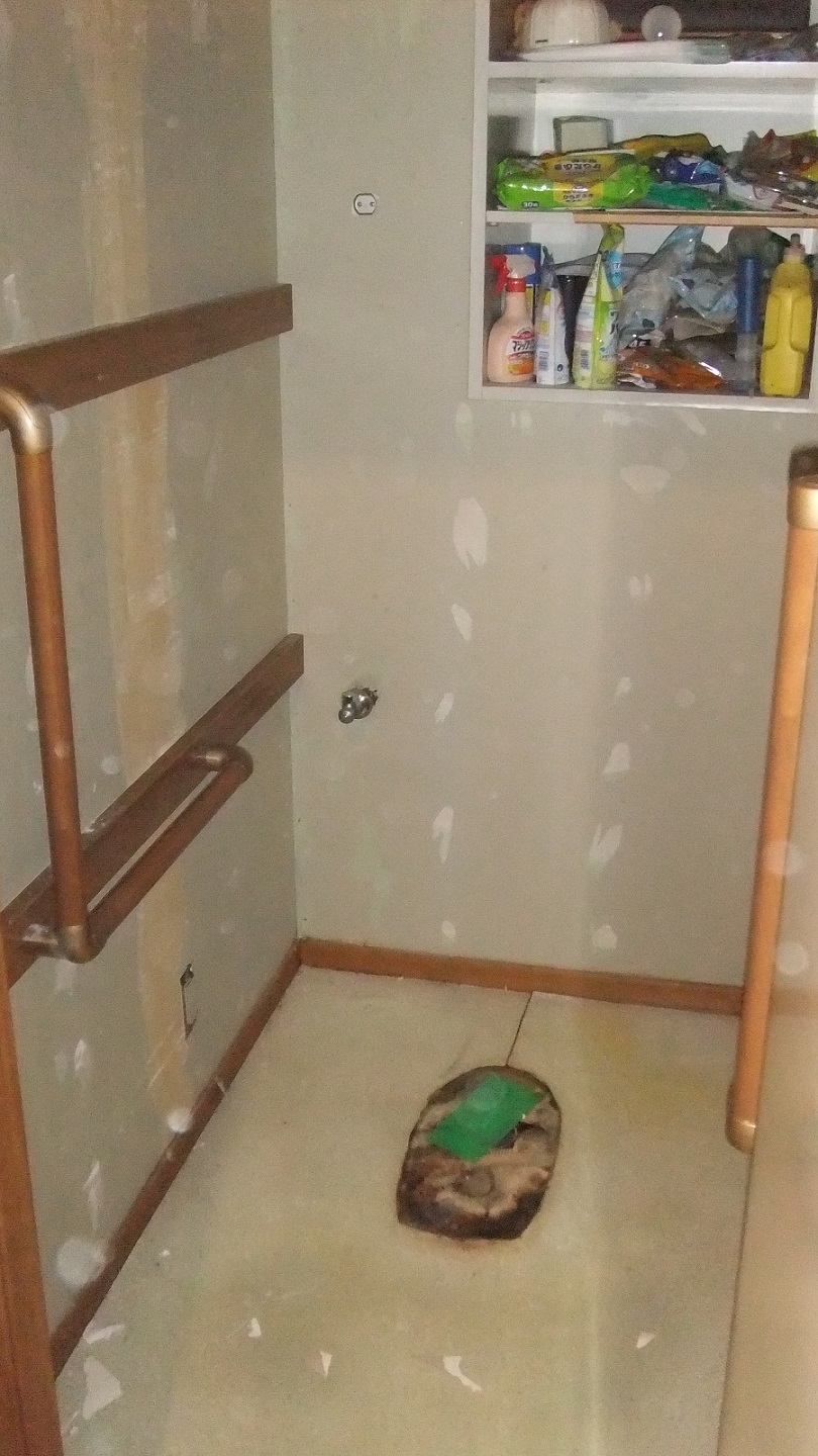 トイレ床撤去