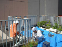 外装リフォーム:東京都大田区蒲田T様邸 屋上手すり ケレン中