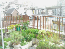 外装リフォーム:東京都大田区蒲田T様邸・屋上手すり・塗装完了