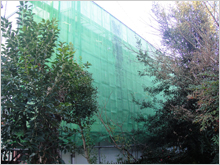 北面 シート養生の様子