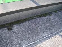 外壁塗装リフォーム・シール工事:角部分のこけ