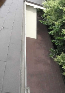 枯葉止め設置前